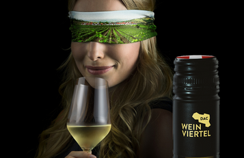 Sujet Grüner Veltliner